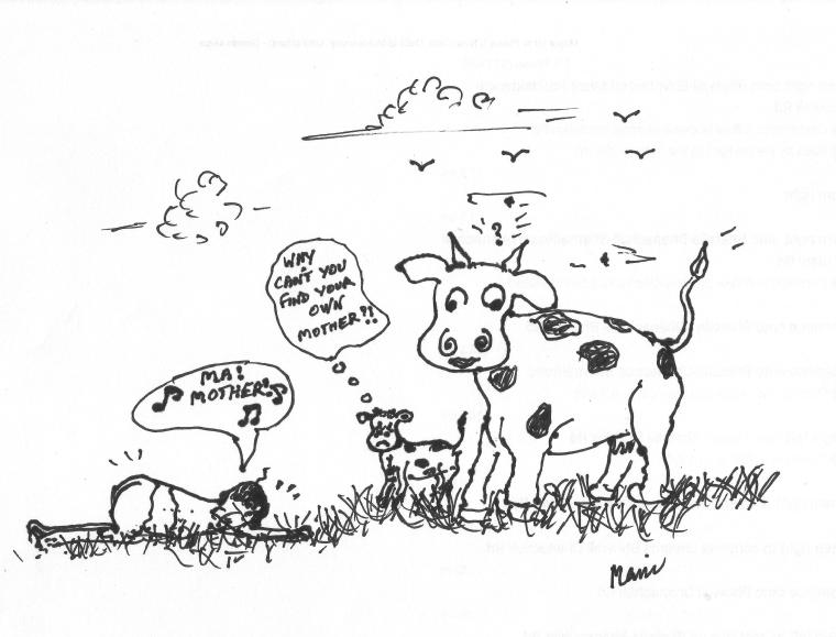 Cow's laughter 001