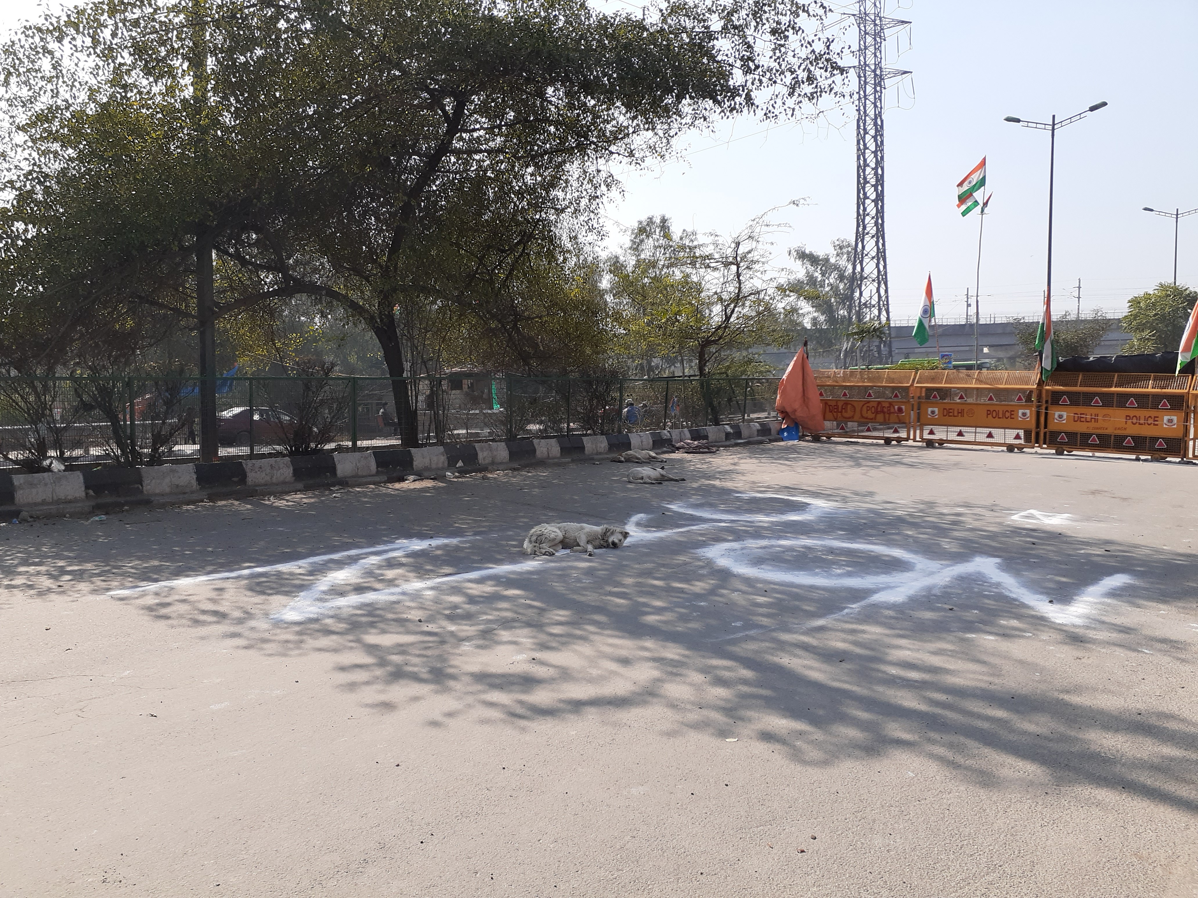 Waiting for Prime Time