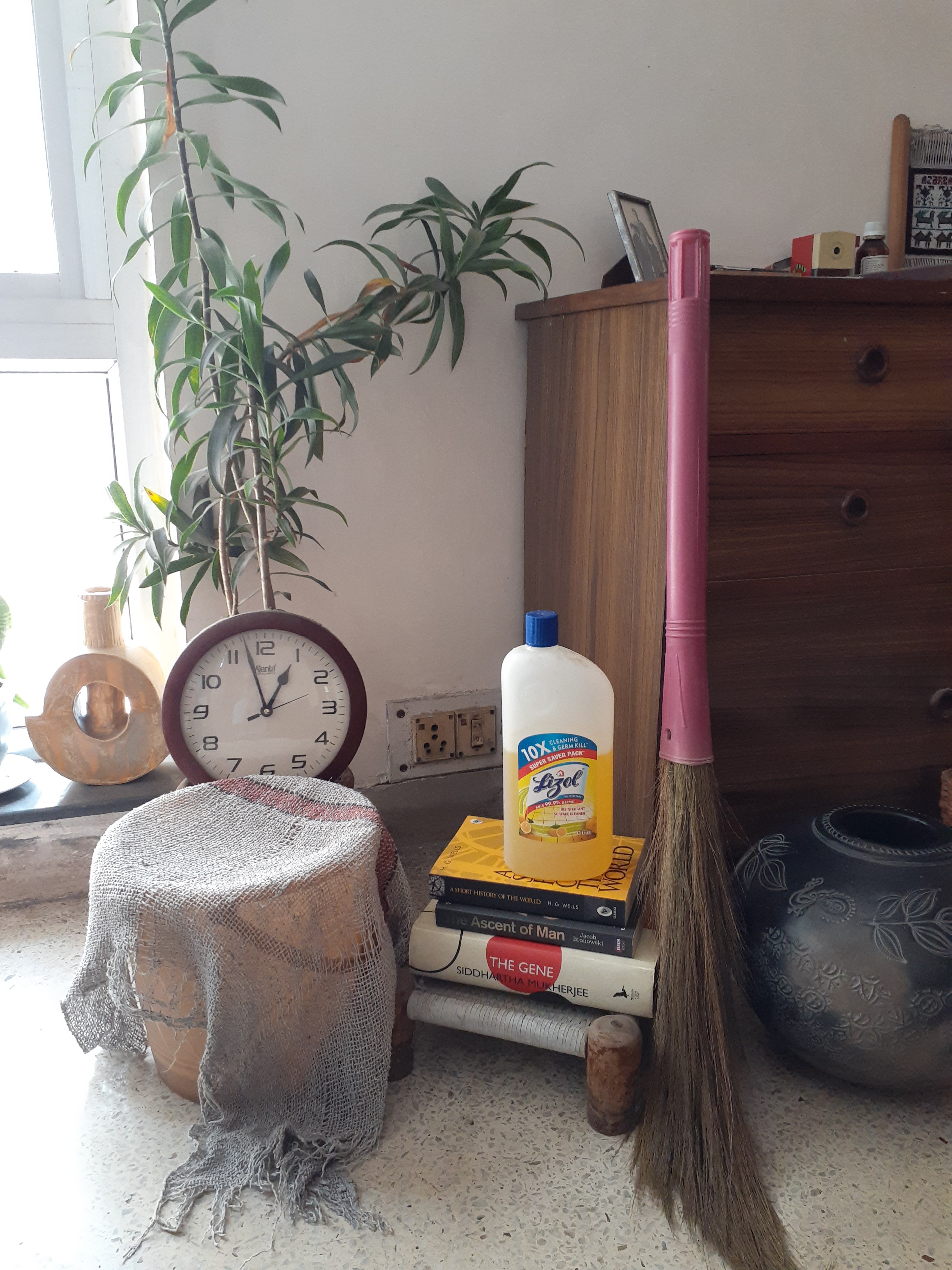 Jhadoo-Pocha Reflections